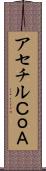 アセチルＣｏＡ Scroll