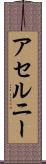アセルニー Scroll