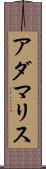 Adamaris Scroll