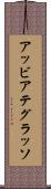 アッビアテグラッソ Scroll