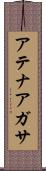 Athena Agatha Scroll