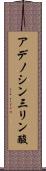 アデノシン三リン酸 Scroll
