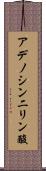 アデノシン二リン酸 Scroll