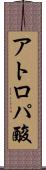 アトロパ酸 Scroll