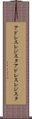 アドレスレジスタ Scroll