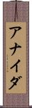 Anaida Scroll