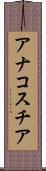 アナコスチア Scroll