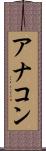 アナコン Scroll