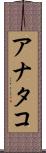 アナタコ Scroll