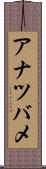 アナツバメ Scroll
