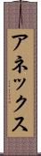 アネックス Scroll