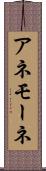 アネモーネ Scroll