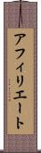 アフィリエート Scroll