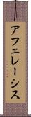 アフェレーシス Scroll