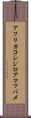 アフリカコシジロアマツバメ Scroll
