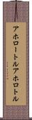 アホロートル Scroll