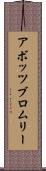 アボッツブロムリー Scroll