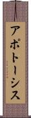 アポトーシス Scroll