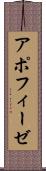 アポフィーゼ Scroll