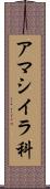 アマシイラ科 Scroll