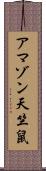 アマゾン天竺鼠 Scroll