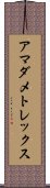 アマダメトレックス Scroll