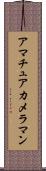 アマチュア・カメラマン Scroll