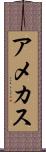 アメカス Scroll