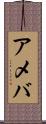アメバ Scroll