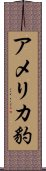 アメリカ豹 Scroll