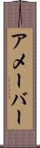 アメーバー Scroll