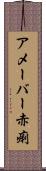 アメーバー赤痢 Scroll