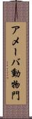 アメーバ動物門 Scroll