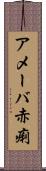 アメーバ赤痢 Scroll