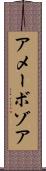 アメーボゾア Scroll