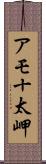 アモ十太岬 Scroll