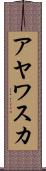 アヤワスカ Scroll