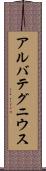 アルバテグニウス Scroll