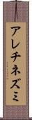 アレチネズミ Scroll