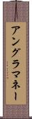 アングラ・マネー Scroll