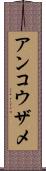 アンコウザメ Scroll
