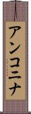 アンコニナ Scroll