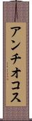 アンチオコス Scroll