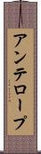 アンテロープ Scroll