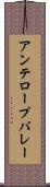 アンテロープバレー Scroll