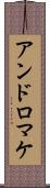 アンドロマケ Scroll