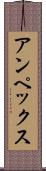 アンペックス Scroll