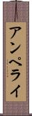 アンペライ Scroll