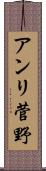 アンリ菅野 Scroll
