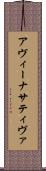 アヴィーナサティヴァ Scroll